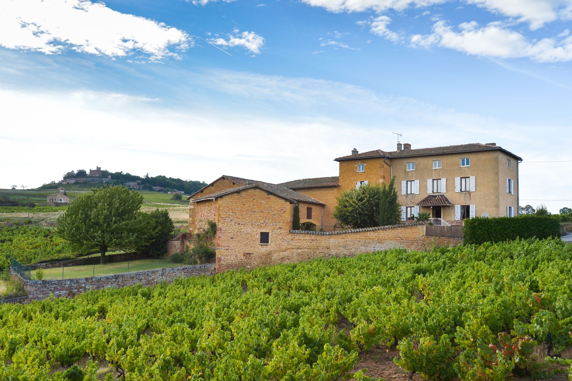 Le Domaine des Sources entouré de ses vignes en Beaujolais